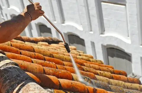 Nettoyage de toitures - Saint-Étienne-de-Saint-Geoirs